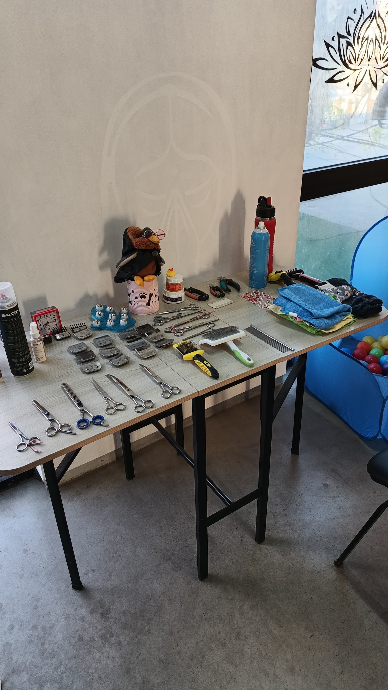 Equipo profesional listo para una sesión de peluquería canina